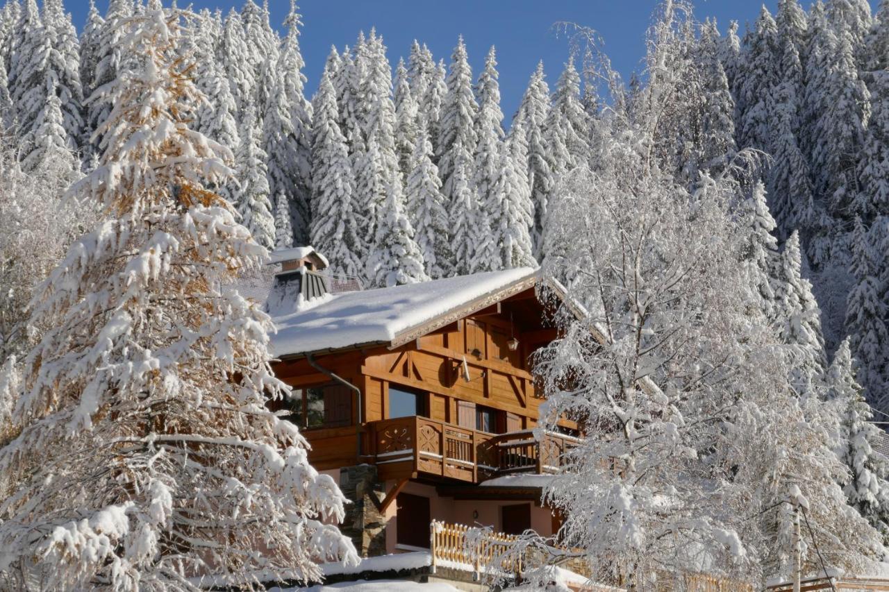 Les Saisies Cote Legette Appartement Dans Chalet Le Nepal Ngoại thất bức ảnh
